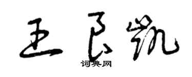 曾庆福王良凯草书个性签名怎么写