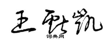曾庆福王献凯草书个性签名怎么写