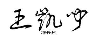 曾庆福王凯闻草书个性签名怎么写