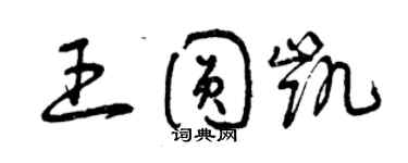 曾庆福王圆凯草书个性签名怎么写