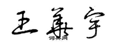 曾庆福王华宇草书个性签名怎么写