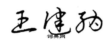 曾庆福王健纳草书个性签名怎么写