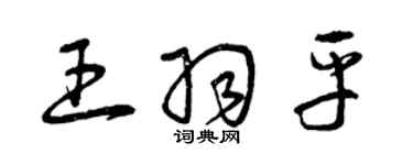 曾庆福王羽平草书个性签名怎么写