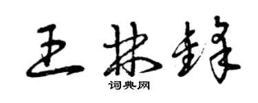 曾庆福王林锋草书个性签名怎么写