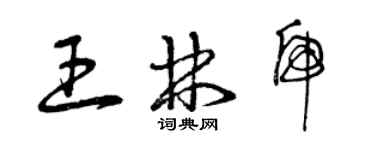 曾庆福王林虎草书个性签名怎么写