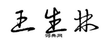 曾庆福王生林草书个性签名怎么写