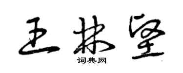 曾庆福王林坚草书个性签名怎么写