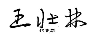 曾庆福王壮林草书个性签名怎么写