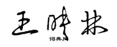曾庆福王映林草书个性签名怎么写