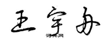 曾庆福王宇舟草书个性签名怎么写