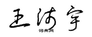 曾庆福王沛宇草书个性签名怎么写