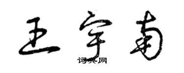 曾庆福王宇南草书个性签名怎么写