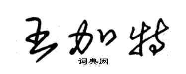 朱锡荣王加特草书个性签名怎么写