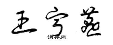 曾庆福王宁燕草书个性签名怎么写