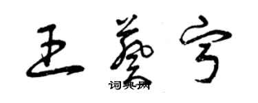 曾庆福王葵宁草书个性签名怎么写