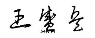 曾庆福王盛兵草书个性签名怎么写