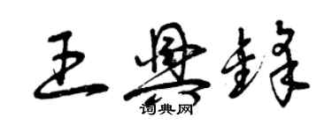 曾庆福王兴锋草书个性签名怎么写