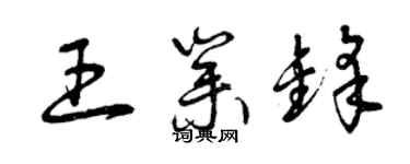 曾庆福王业锋草书个性签名怎么写