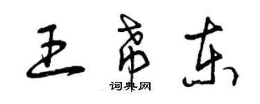曾庆福王希东草书个性签名怎么写