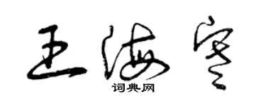 曾庆福王海寒草书个性签名怎么写