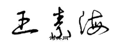 曾庆福王素海草书个性签名怎么写