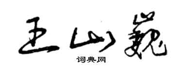 曾庆福王山巍草书个性签名怎么写