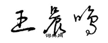 曾庆福王晨鸣草书个性签名怎么写