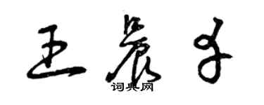 曾庆福王晨幸草书个性签名怎么写