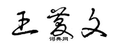 曾庆福王庆文草书个性签名怎么写