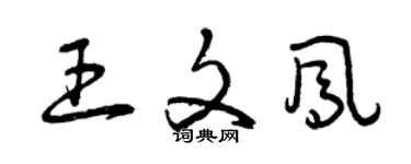 曾庆福王文凤草书个性签名怎么写