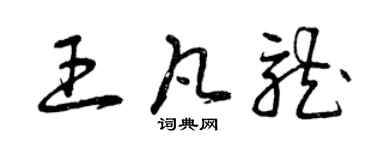 曾庆福王凡龙草书个性签名怎么写