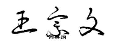 曾庆福王宗文草书个性签名怎么写
