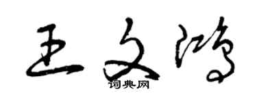 曾庆福王文鸿草书个性签名怎么写