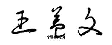 曾庆福王益文草书个性签名怎么写