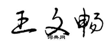 曾庆福王文畅草书个性签名怎么写