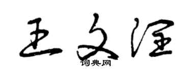 曾庆福王文润草书个性签名怎么写