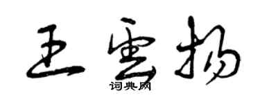 曾庆福王云扬草书个性签名怎么写