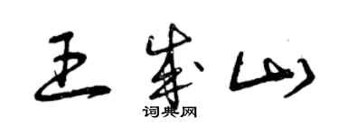 曾庆福王成山草书个性签名怎么写