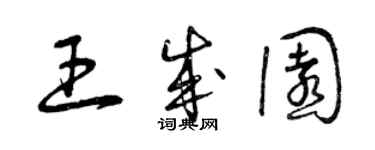 曾庆福王成园草书个性签名怎么写