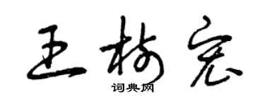 曾庆福王树宏草书个性签名怎么写