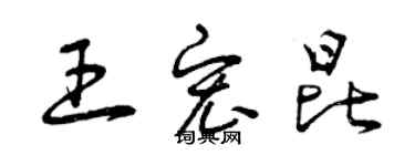 曾庆福王宏昆草书个性签名怎么写