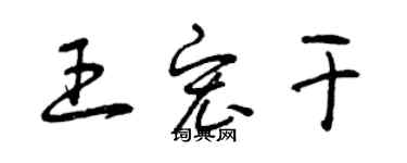 曾庆福王宏干草书个性签名怎么写