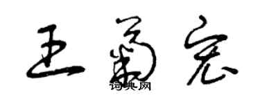 曾庆福王菊宏草书个性签名怎么写