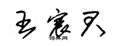 朱锡荣王宸君草书个性签名怎么写