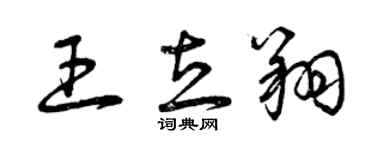 曾庆福王立翔草书个性签名怎么写