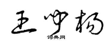 曾庆福王闻杨草书个性签名怎么写