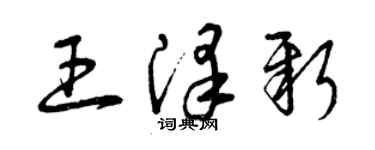 曾庆福王泽新草书个性签名怎么写