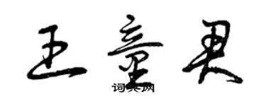 曾庆福王童君草书个性签名怎么写