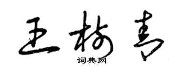 曾庆福王树青草书个性签名怎么写