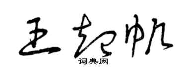 曾庆福王起帆草书个性签名怎么写